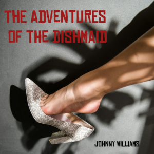 The Adventures of the Dishmaid