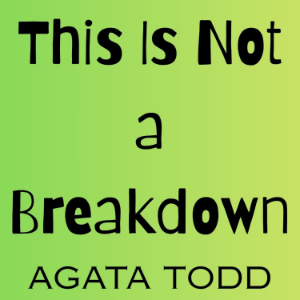 This Is Not a Breakdown-logo