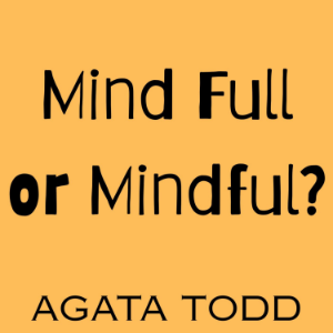 Mind Full or Mindful?-logo