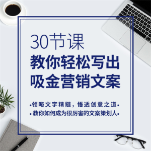 30节课,教你轻松写出吸金营销方案-logo