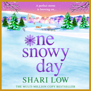 One Snowy Day
