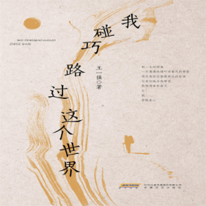 我碰巧路过这个世界-logo
