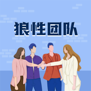 狼性团队:企业如何打造精英团队-logo
