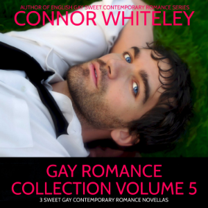 Gay Romance Collection Volume 5-logo