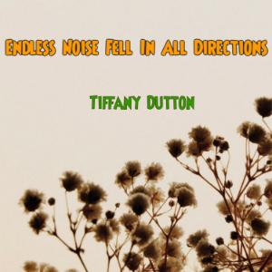 Endless Noise Fell In All Directions-logo
