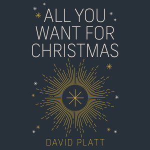All You Want For Christmas