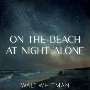 On the Beach at Night Alone