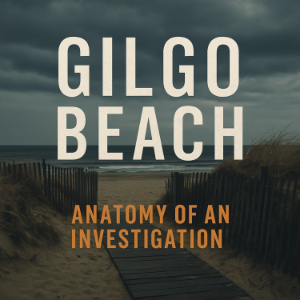 Gilgo Beach