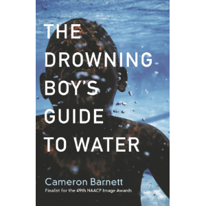 The Drowning Boy's Guide to Water