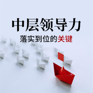 中层领导力：落实到位的关键