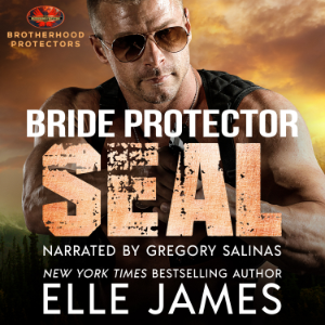 Bride Protector SEAL-logo