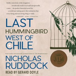 Last Hummingbird West of Chile
