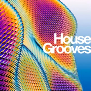 House Grooves-logo