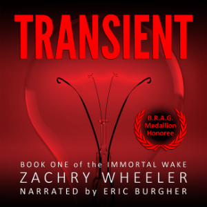 Transient: A Tech Noir Novel-logo