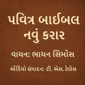 પવિત્ર બાઇબલ – નવું કરાર