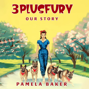 3 Plus Fury