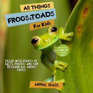 All Things Frogs & Toads For Kids