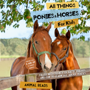 All Things Ponies & Horses For Kids