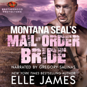 MONTANA SEAL's MAIL-ORDER BRIDE