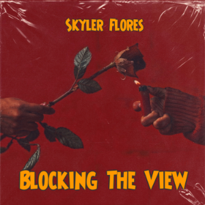 Blocking The View