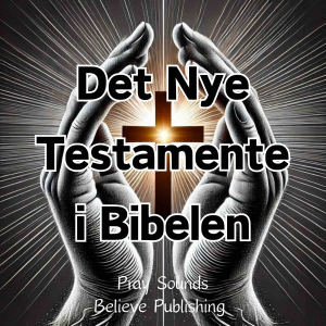 Det Nye Testamente i Bibelen