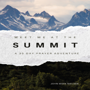 MEET ME AT THE SUMMIT