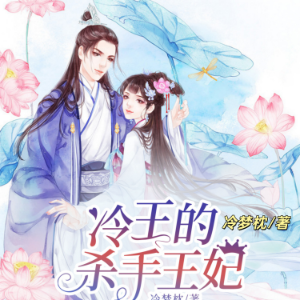冷王的杀手王妃2