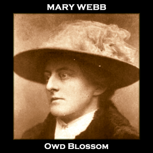 Owd Blossom