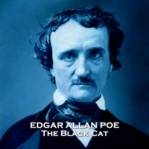 The Black Cat