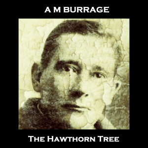 The Hawthorn Tree
