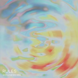 Ninja Tune Presents: Rules (Wellness Mix)-logo