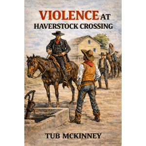 Violence at Haverstock Crossing