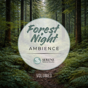 Forest Night Ambience