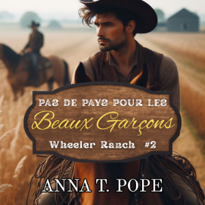 Pas de pays pour les Beaux Garçons