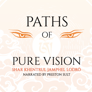 Paths of Pure Vision