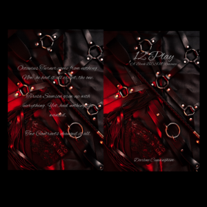 12 Play: A Black BDSM Romance