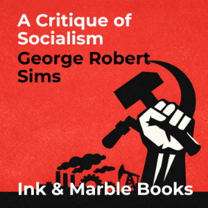A Critique of Socialism
