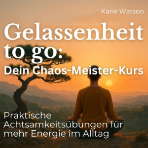Gelassenheit to Go - Dein Chaos-Meister-Kurs
