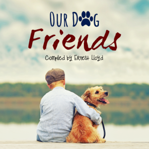 Our Dog Friends
