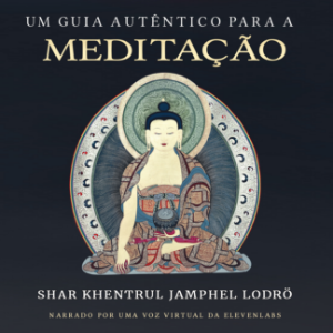 Um Guia Autêntico para a Meditação