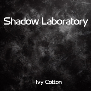 Shadow Laboratory
