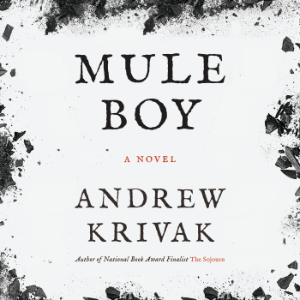 Mule Boy