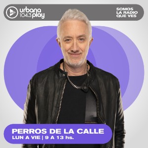 Perros de la Calle
