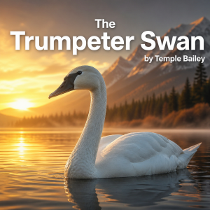 The Trumpeter Swan