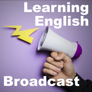 Learning English Podcast - May 29, 2025