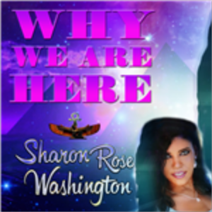 Why We Are Here-logo