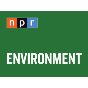 Environment