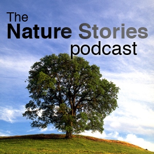 Nature Stories