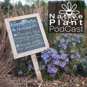 The Native Plant Podcast-logo