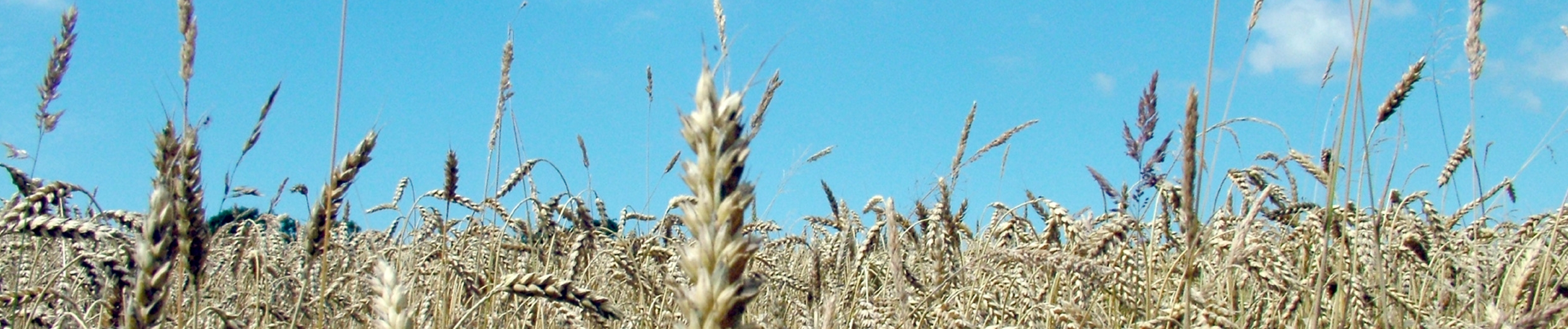 Precision Farming Dealer Podcast